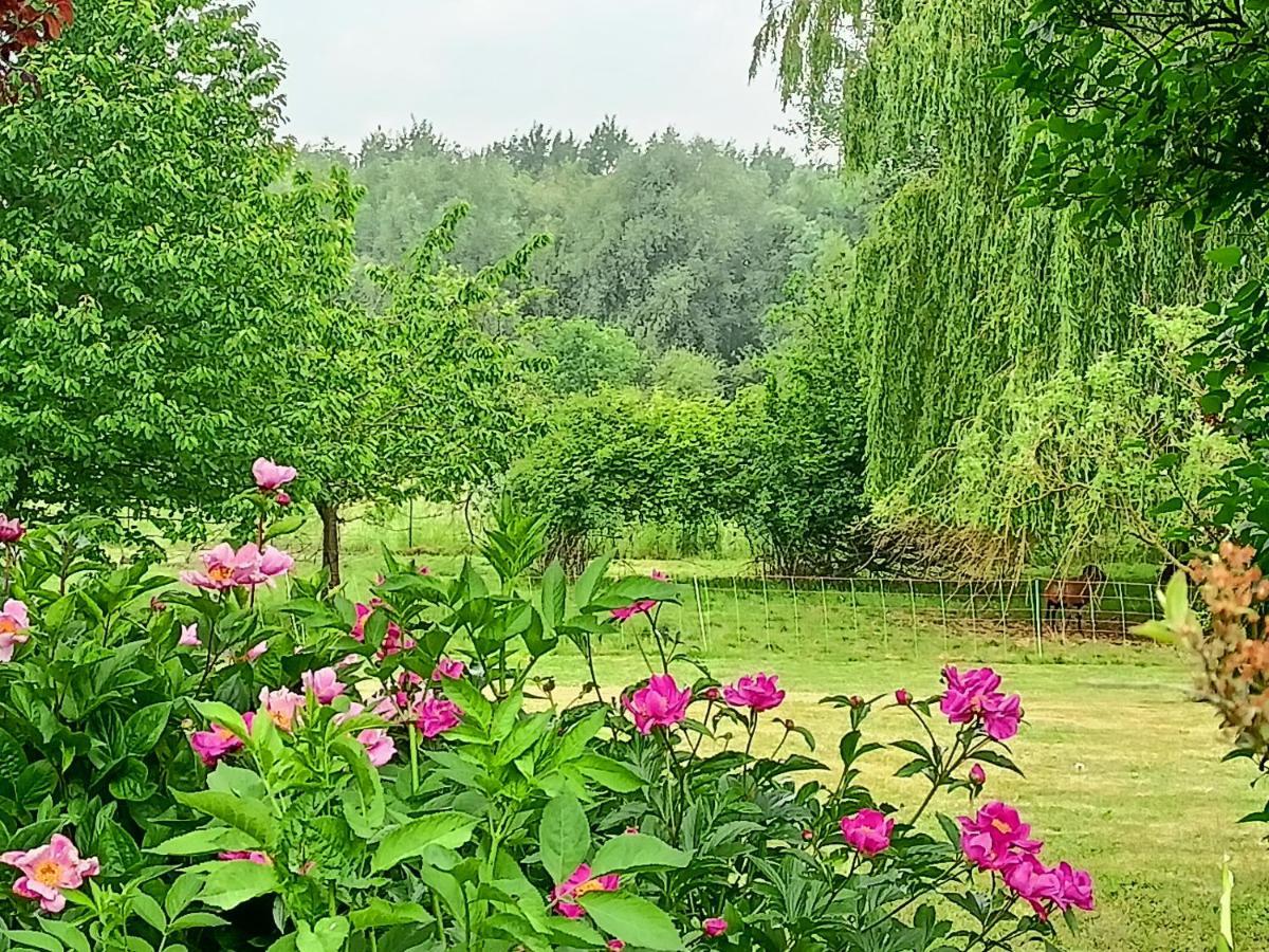 Les Chambres Du Vert Galant Rez De Jardin Verlinghem Exterior photo